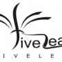 Join Five Lead for the profitable affiliate campaigns