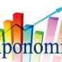 Triponomics Tour and Travel Trip holiday reviews, photos,travel advice for hotels and holi