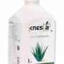 Best Aloe Vera Juice In India - Knesta
