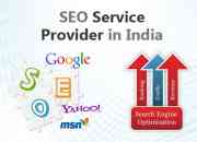 Seo company firm delhi | professional seo services delhi