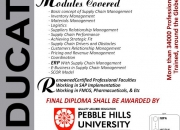 Diploma in supply chain management