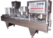 Filling and capping machines