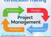 Let certified instructors help you clear pmp in the first sitting