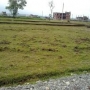Land  at SILIGURI and its adjoining araeas in bighas and gathas for sale at cheap rates