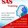 SAS Training in Noida – Enter into a High-potential Job Path with Quality Training