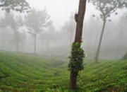 Kerala tour packages at affordable rate - 11days 10night