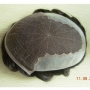French lace patch- The product can not be replaced after the hair is cut/styled or washed