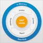 SAP HANA Online Training including ABAP Programing for HANA