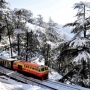 Book An Unforgettable Shimla Tour Package Online