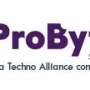 Quality Web Design Solutions from Probytes Software
