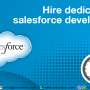Hire Dedicated Sales Force Developer (INDIA)