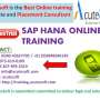 SAP HANA Online Course