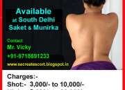 Delhi Low Rate Call Girls with accomodation 9718691233
