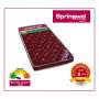 Buy Springwel Mattress Online in Gurgaon