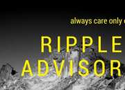 Ripples Advisory provide best commodity tips|Top 10 best advisory company in indore