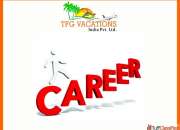 Online marketing work in tourism company required fresher