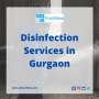 Looking for Disinfection Services in Gurgaon?